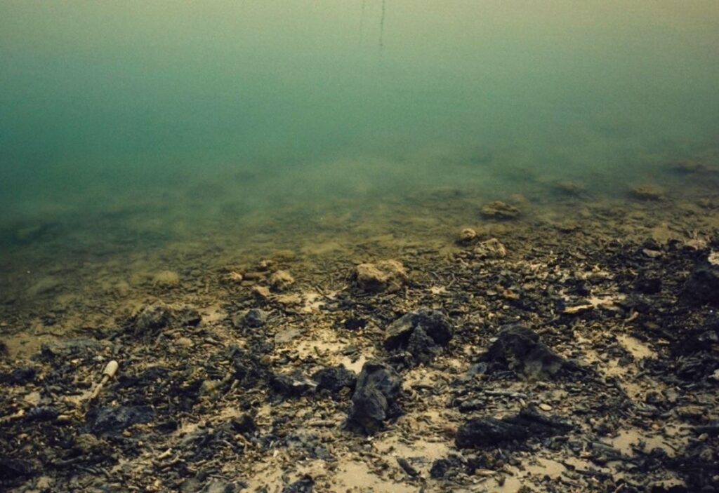 muck at the bottom of a lake