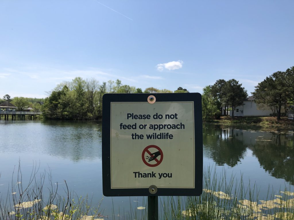 don't feed wildlife