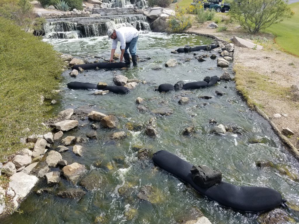 Biochar: Safely Filter Excess Pond Nutrients