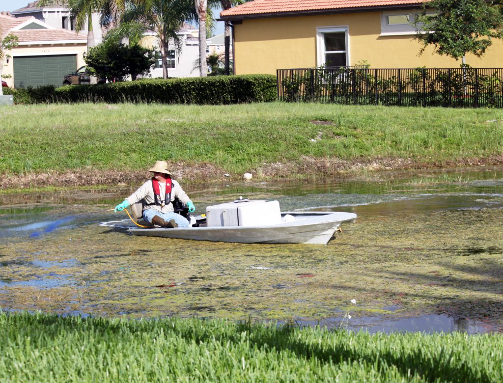 Prevent nuisance algae and vegetation