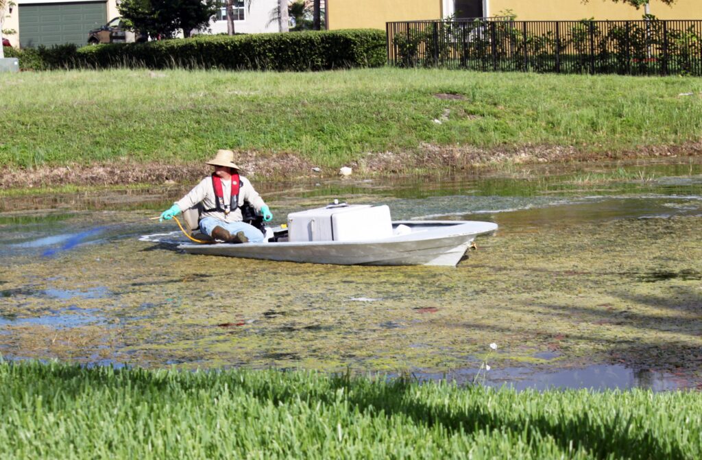 Prevent nuisance algae and vegetation