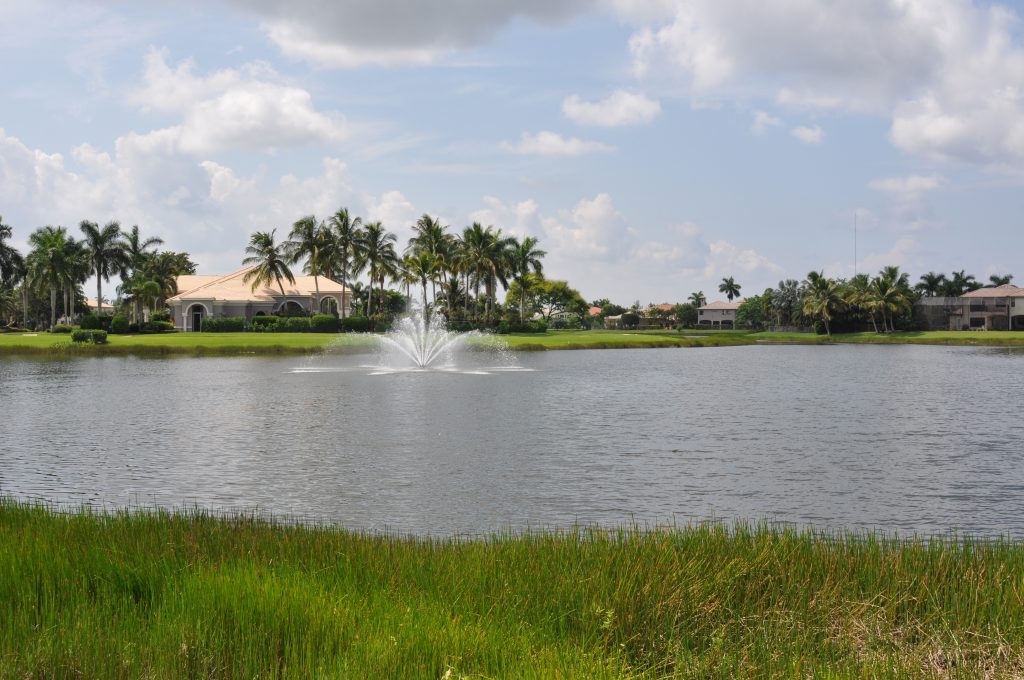 Paragraph 3 - Fortunately, there are many - lake and pond management scenic