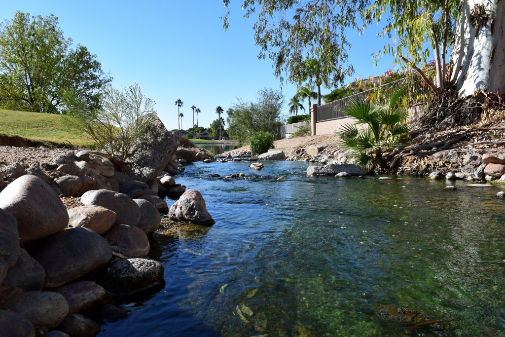 scenic lake and pond management algae and aquatic weed nutrient remediation