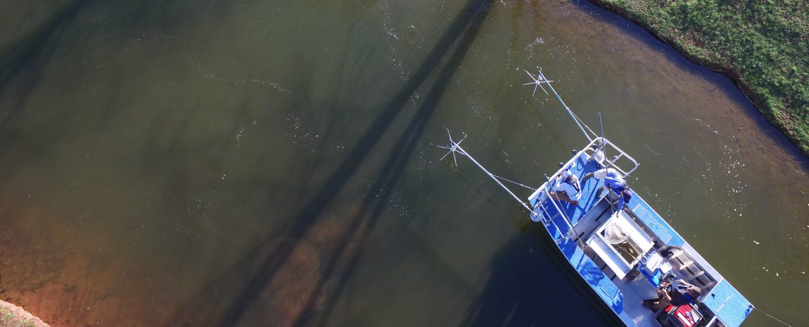 what is electrofishing - electrofishing in fisheries - managing fish pond health - lake services for fish - caring for pond fish - tracking fish pond population health