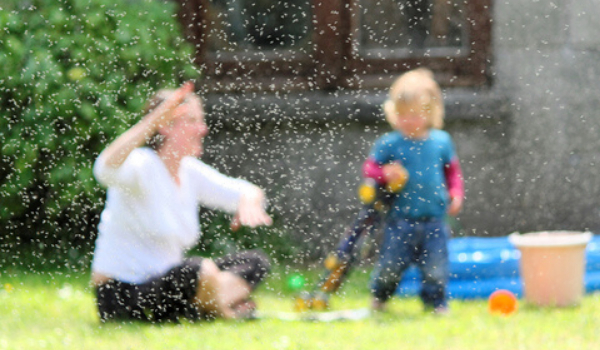 Family surrounded by midge flies