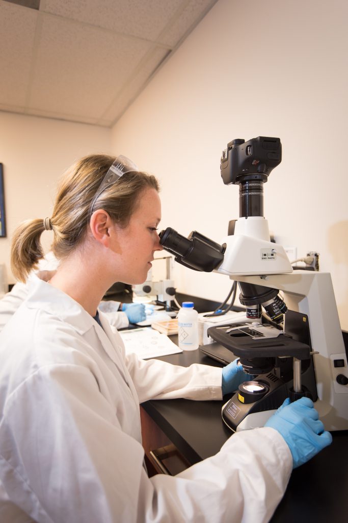 Water quality assessments - colleague looking into microscope - solitude lab - lake experts - aquatic biologists