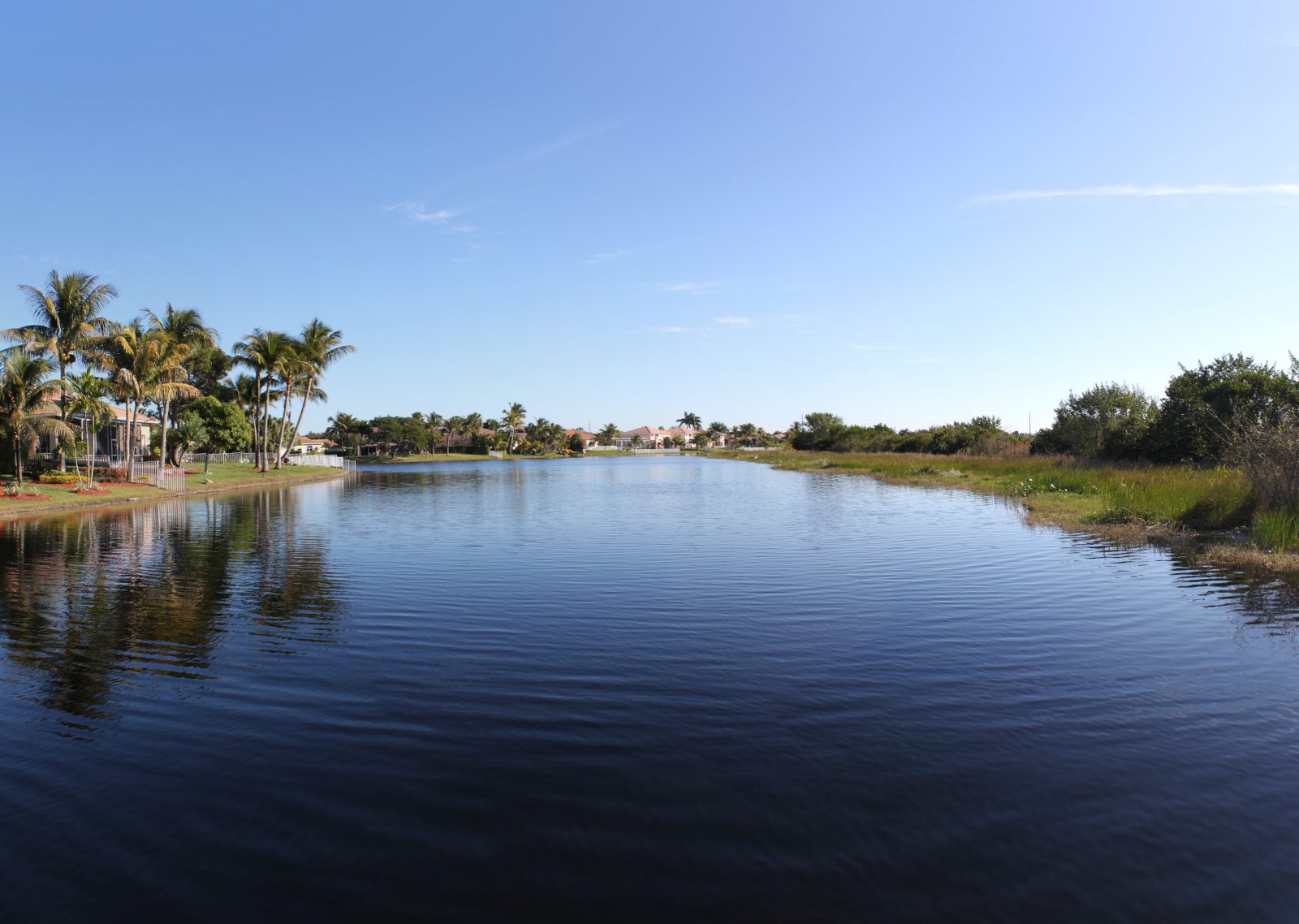 scenic lake and pond management - natural management