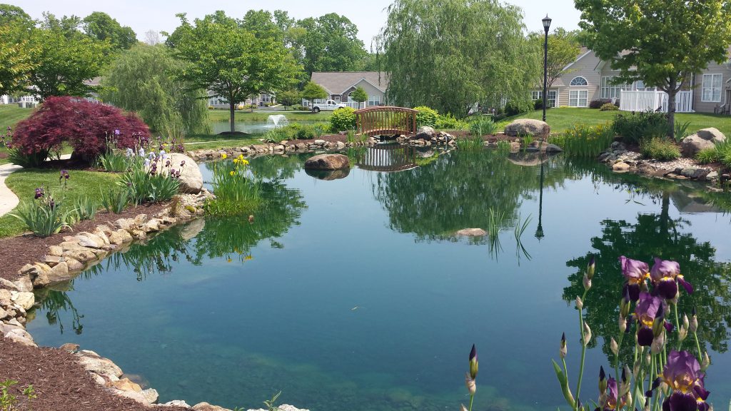 Spring Scenic Pond_surrounded by flowers_Jefferson Villas_Lynchburg_VA_AaronC