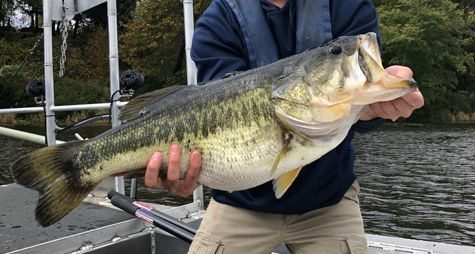 Trophy Largemouth Bass Fishery: Grow BIG Bass in Your Lake