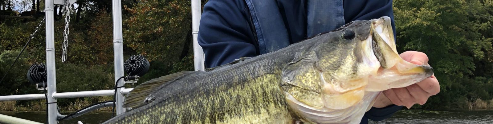 Fisheries Management