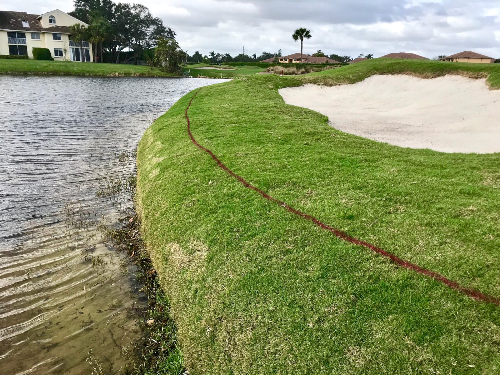 After, Golf Course Shoreline Restoration