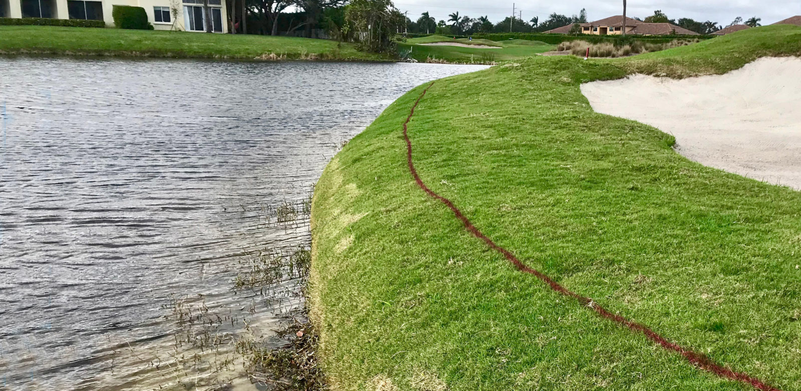 After, Golf Course Shoreline Restoration