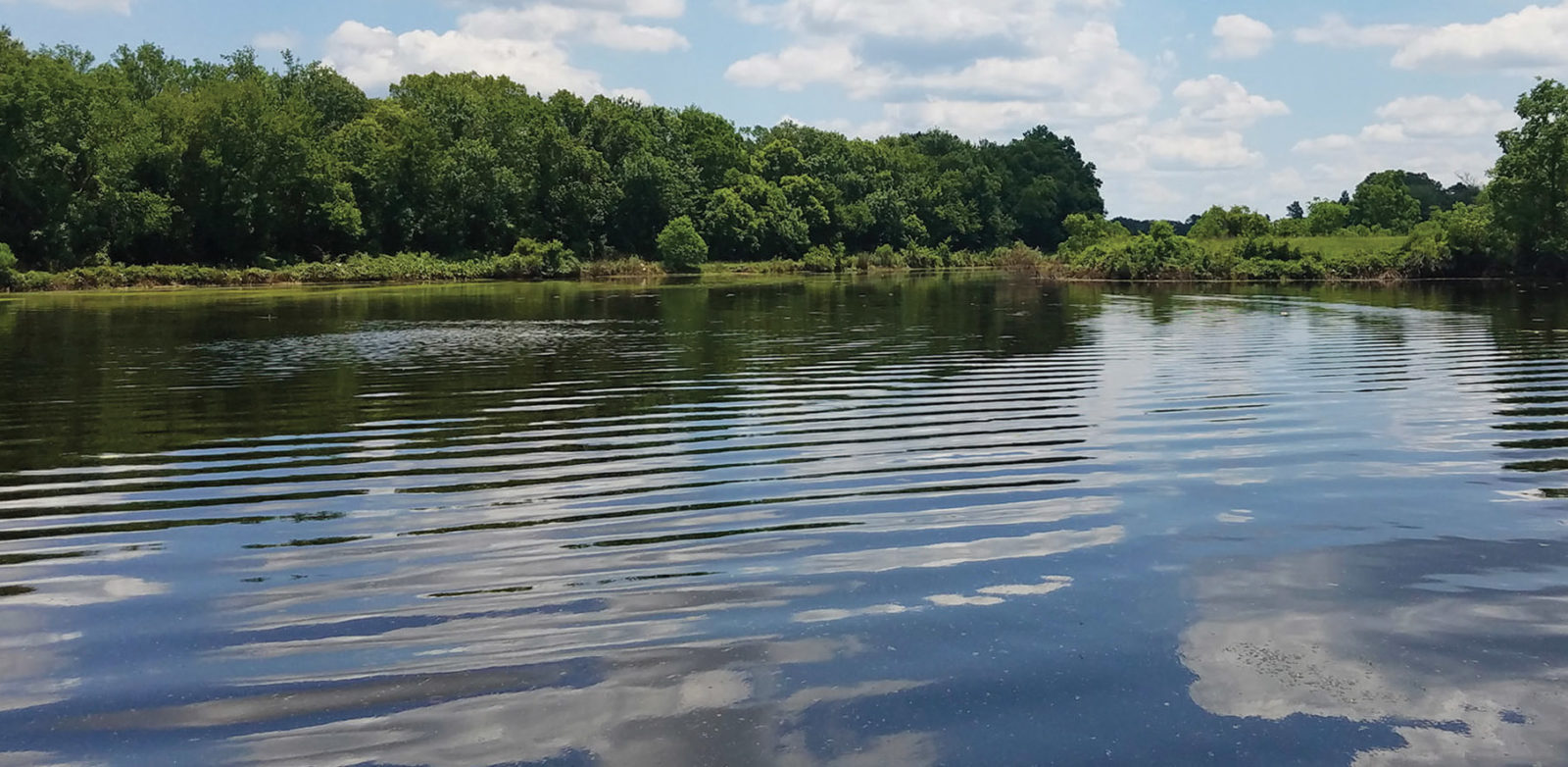 After, Lake Algae Treatment