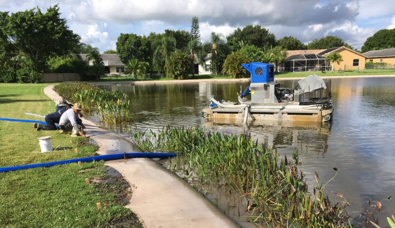 Lake Erosion Control