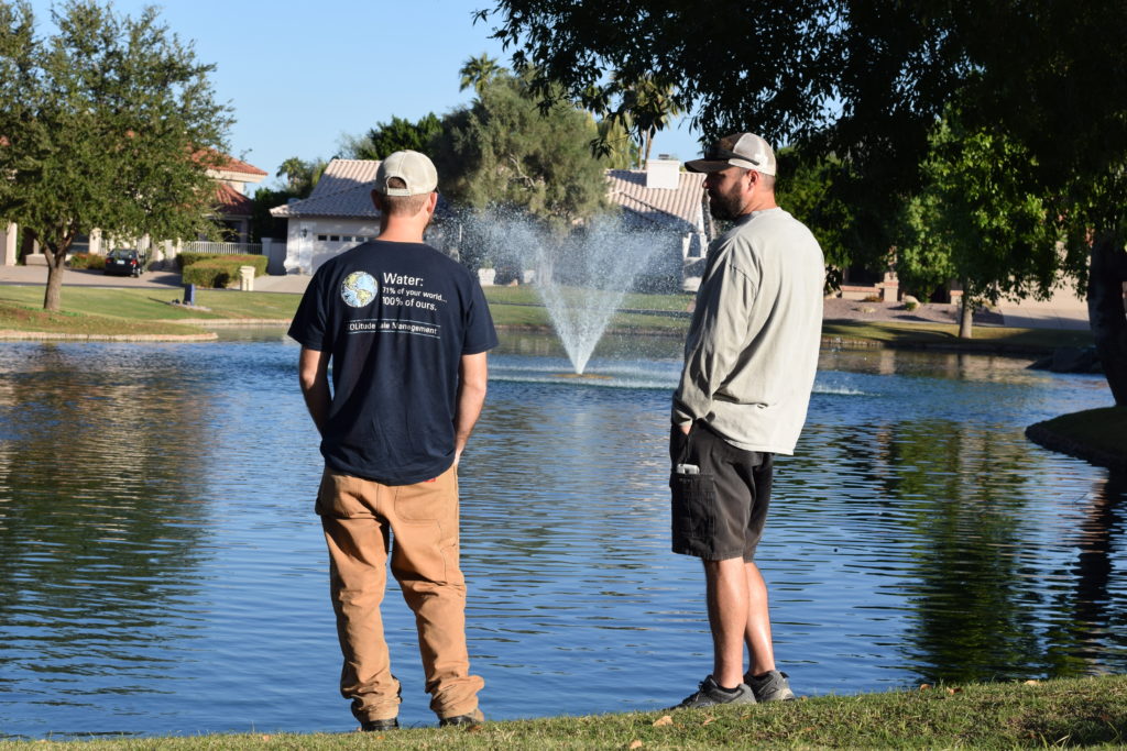 Pond Inspection