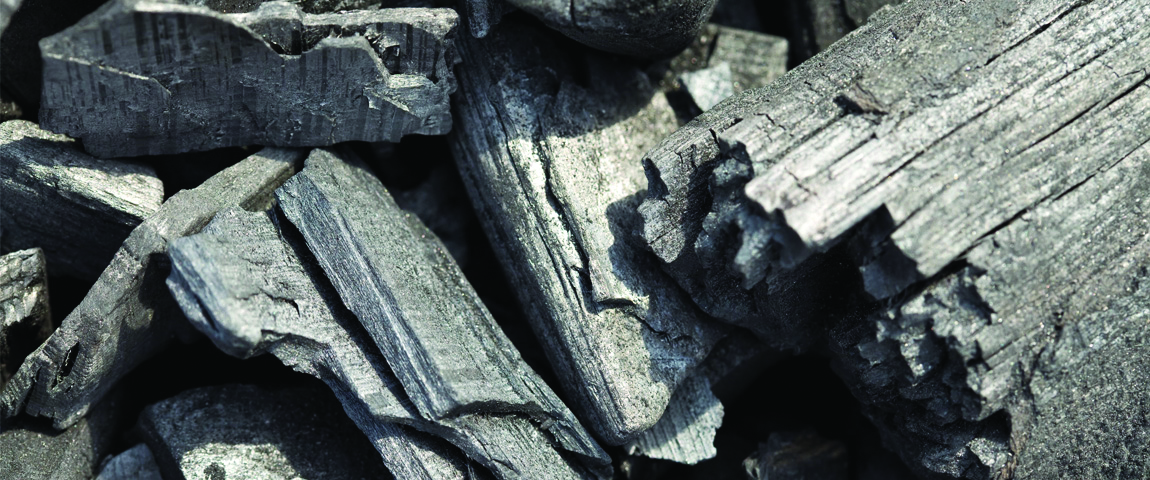biochar