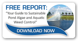 Guide To Sustainable Pond Algaes \u0026amp\u003B Aquatic Weed Control