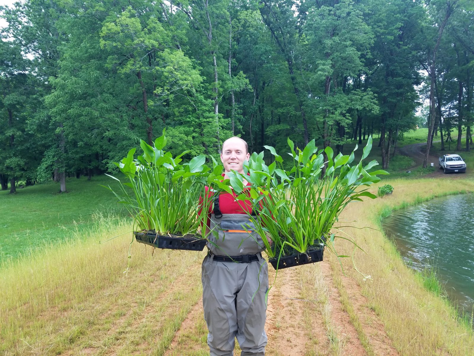 beneficial buffer 2 - colleague holding plants