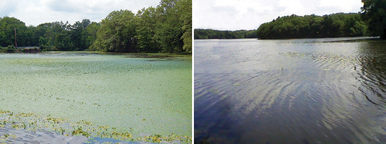 3_Fisk Pond Before & After_c.jpg