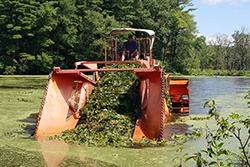 6_Mechanical_Harvesting_Nashua_Rvr5_004_PETER_ACTI_e.jpg