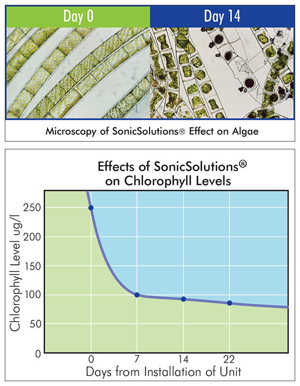 6_SonicSolutions_EffectsSS-MicroscopySS-R-EffectOnAlgaeEffectsChlorophyllLevels_c