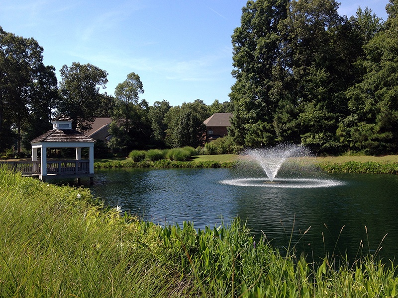 Beneficial Buffer - Fountain - Community Pond (16) - c