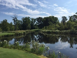 Lake Management