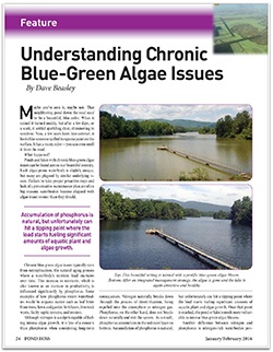 Chronic_Blue_Green_Algae_Pond_Boss_pg_1_dropshadow_e.jpg