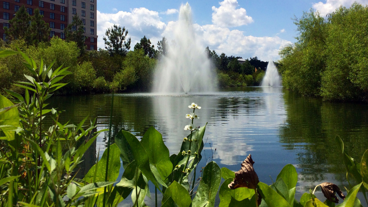 Community Fountains Stormwater Pond Scenic