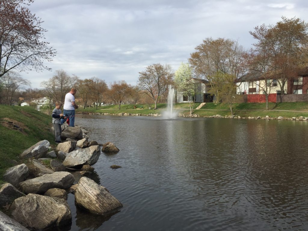 Should I Stock my Pond with Tilapia?