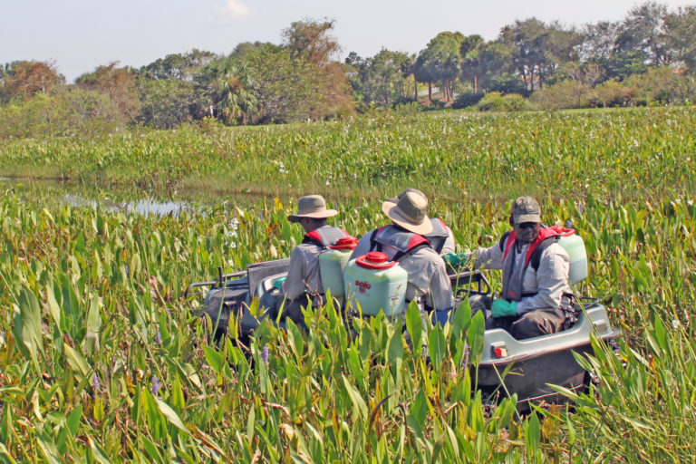 Florida team