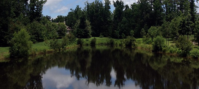 Ponder These Thoughts... Summer Lake and Pond Management Tips
