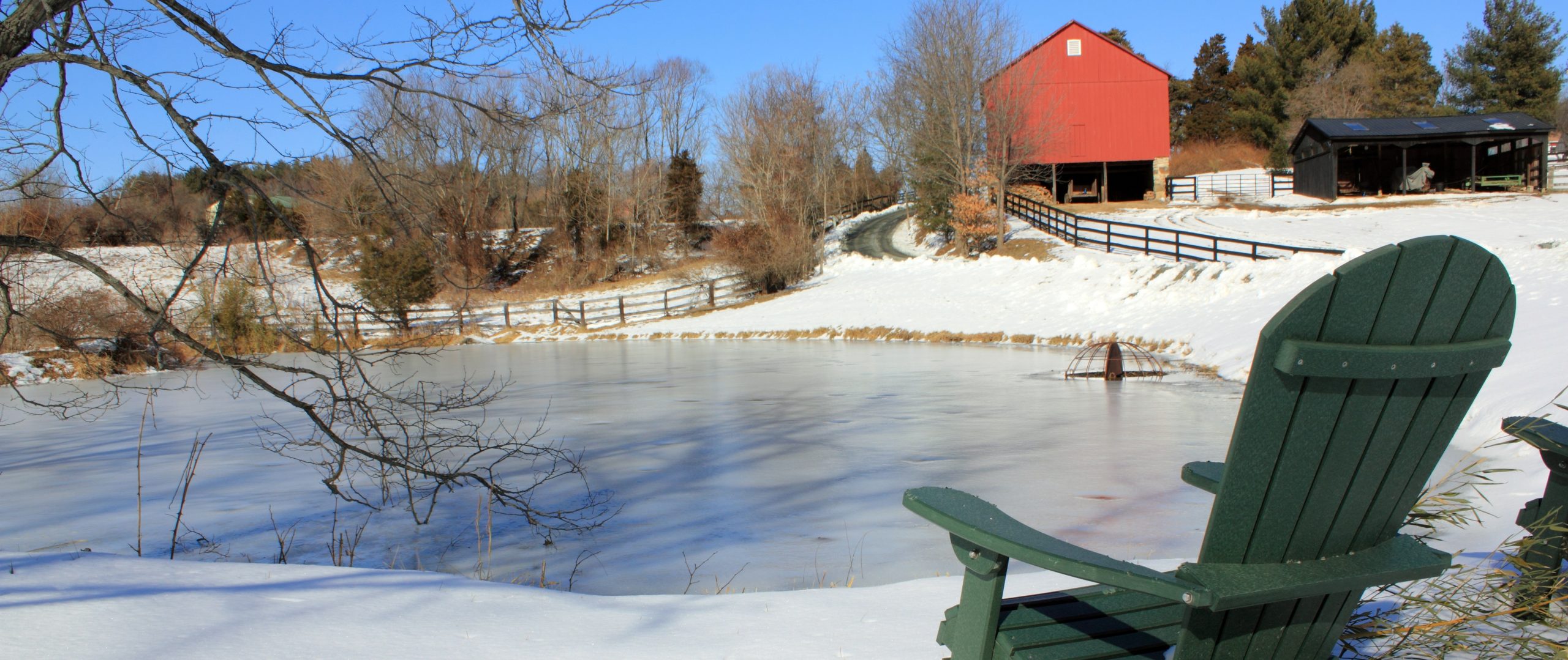 Frozen Pond