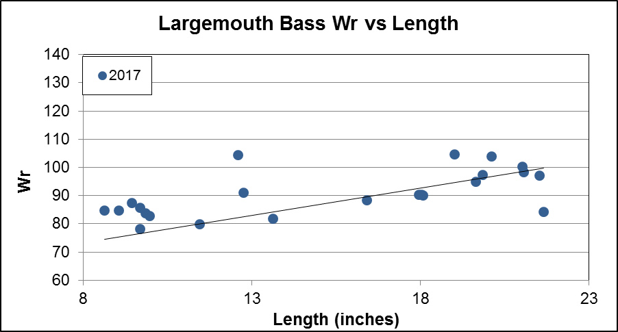 largemouth sass wr vs length