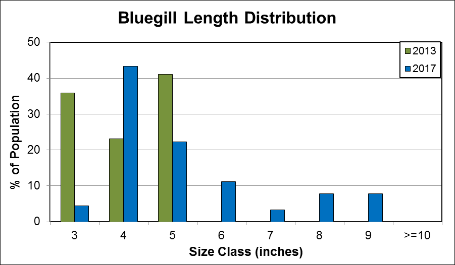 bluegill length distribution