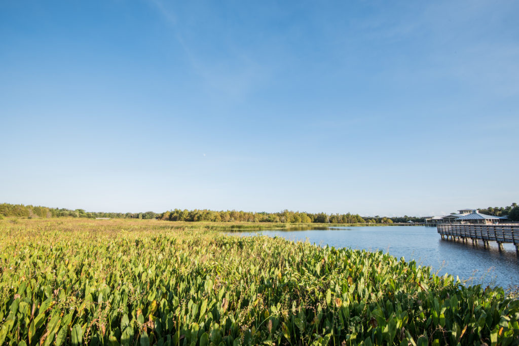 Green-Cay-Wetlands-8