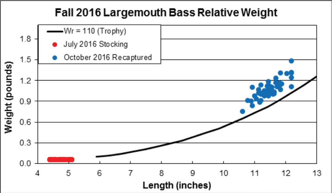 largemouth bass relative weights
