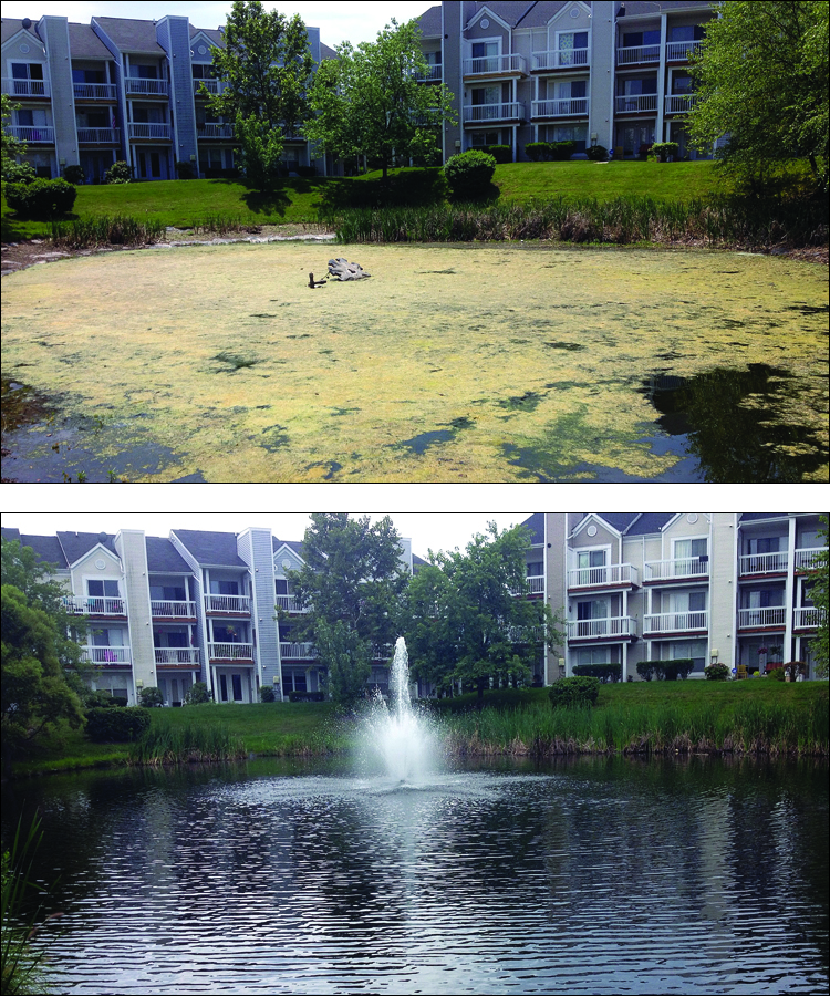 Lakeshore_Condos_Ashburn_VA_algae_before_Capt_XTR_.25_acres_Dav_R_2013