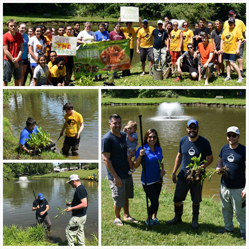 Pond Management