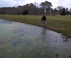 Pond Management The Truth About Aquatic Herbicides