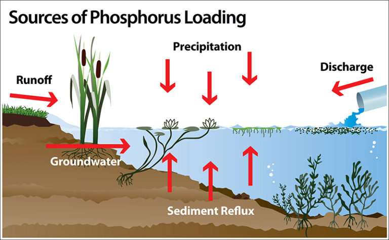 Phosphorus_shoreline_c-768x475.jpg