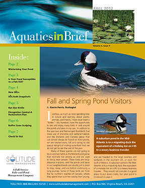 SOLitude Lake Fall 2012 Newsletter