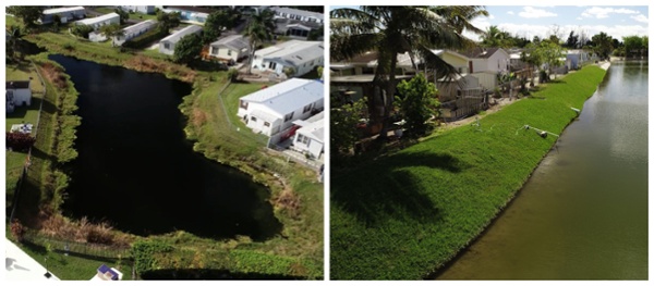 Shoreline Restoration