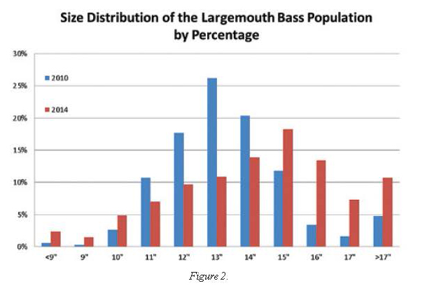 Sizedistributiongraph_largemouthbasspopulation
