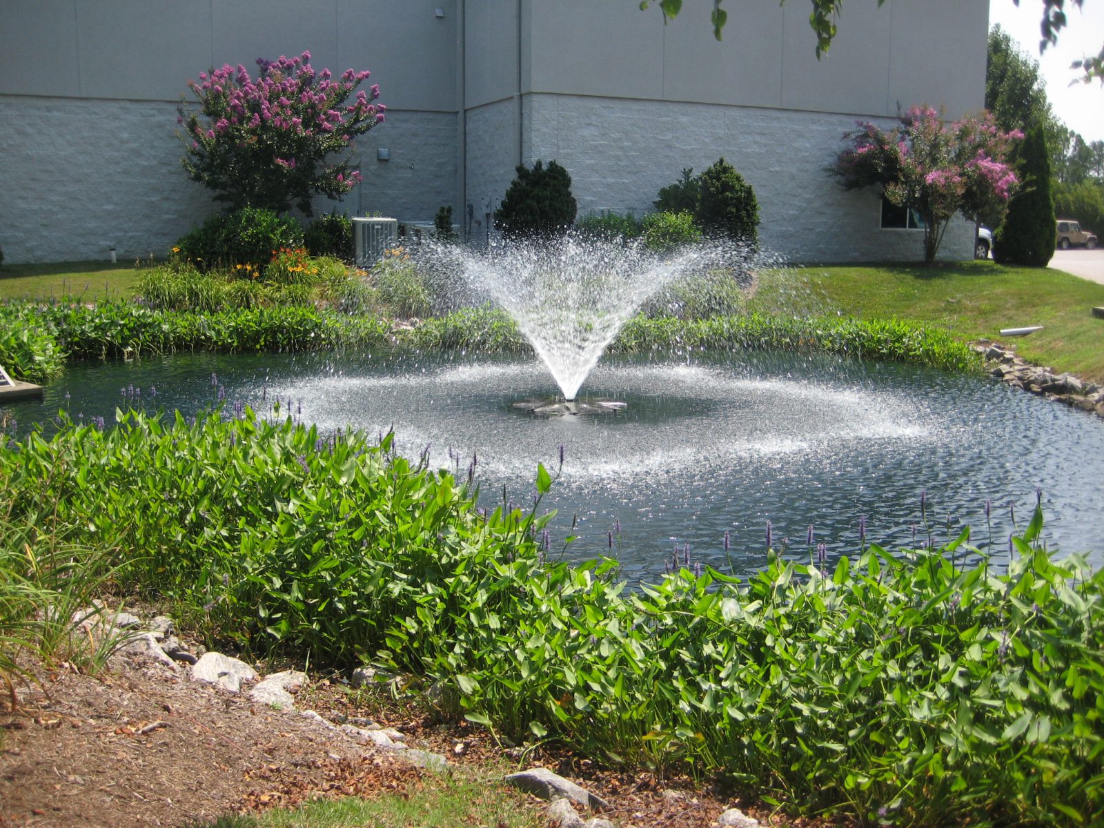 Solitude VB office pond and fountain 4