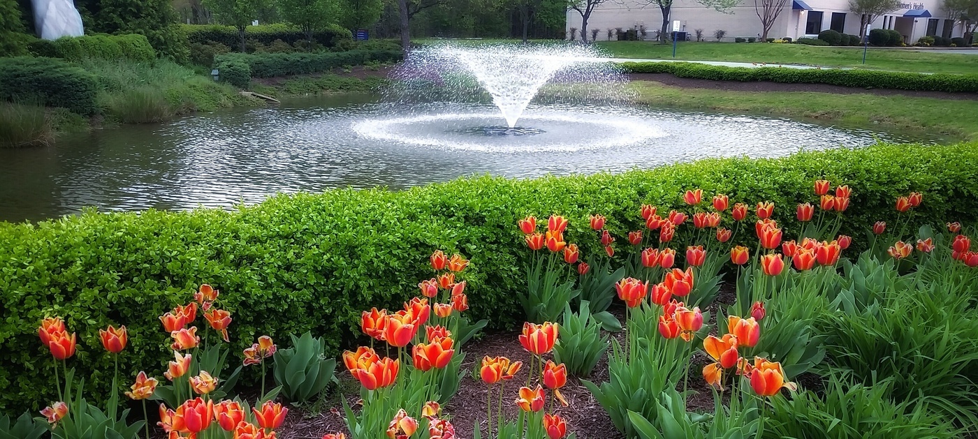 Floating Fountain