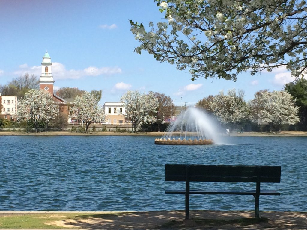 scenic - fountains and aeration - community - residential - commercial - lake and pond management