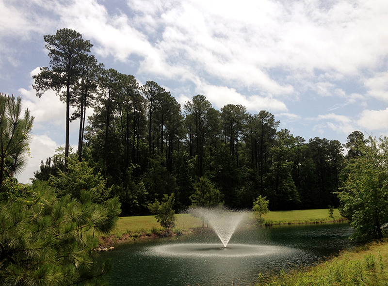 The_Greenlands_1_Summer_Scenic_AquaMaster_Fountain__York_County_VA__Kyle_Finerfrock__2013_c