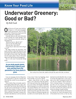 Underwater_Greenery...._good_or_bad_Pond_Boss_Page_1_e2