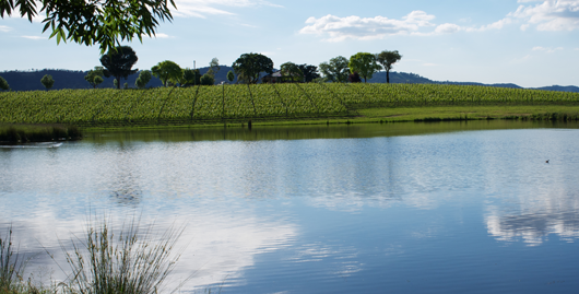Vineyards and Wineries: Lake and Pond Management